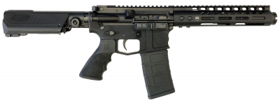 Dark Storm Industries DS-15 5.56 .300 Blackout AR-15 Style Rifles